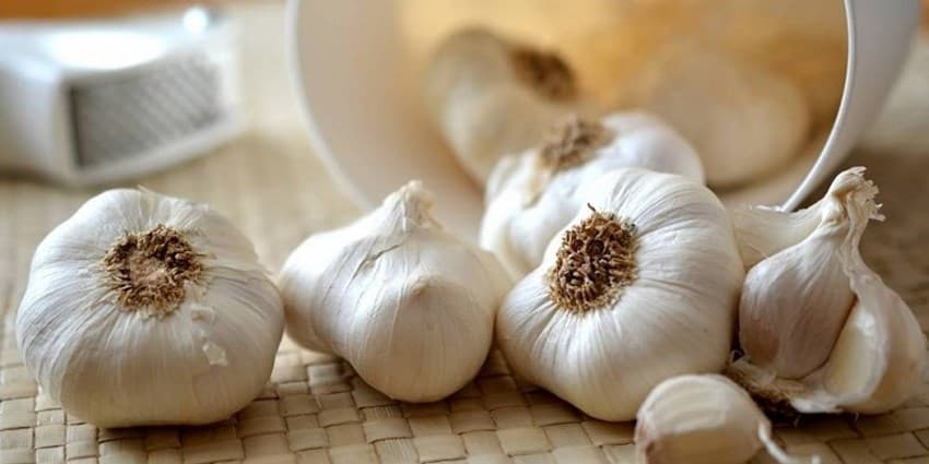 انگل های بدن خود را به طور طبیعی از بین ببرید