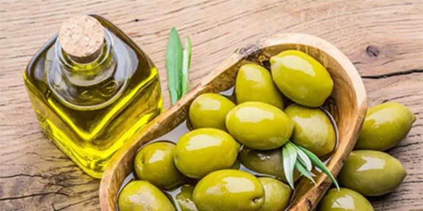 خواص زیتون/ فواید زیتون برای افزایش طول عمر و پیشگیری از انواع سرطان‌ها