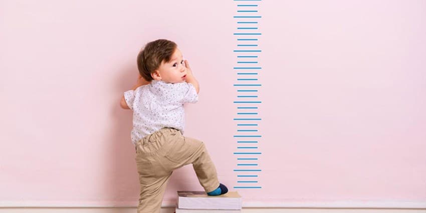 بهترین رژیم غذایی برای افزایش سریع قد