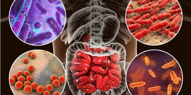 چگونه از نگهبانان میکروسکوپی‌ خود مراقبت کنیم؟