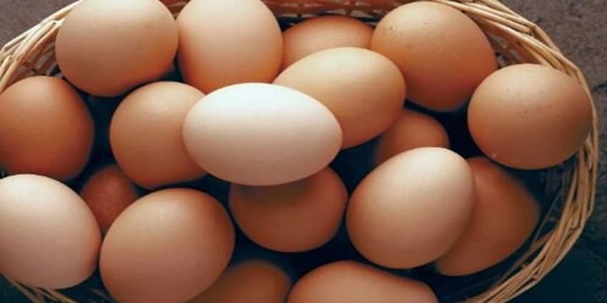 نقش شگفت‌انگيز تخم‌مرغ در پيشگيري از ابتلا به آلزايمر