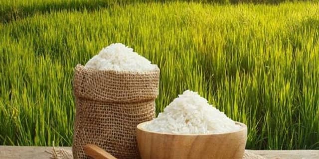 بررسی خطرات آرسنیک در برنج