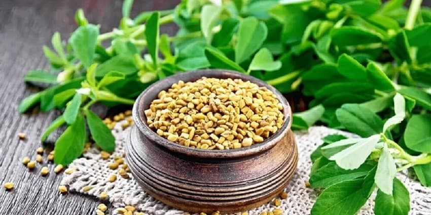 گیاه دم دستی برای کاهش قند خون