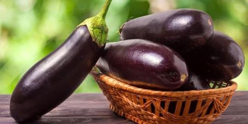 خوردن بادمجان برای این افراد ممنوع