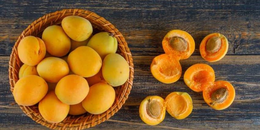 مضرات مرگبار خوردن مغز هسته زردآلو