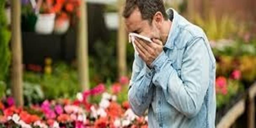 نکات کلیدی برای مبتلایان به آلرژی در هوای آلوده