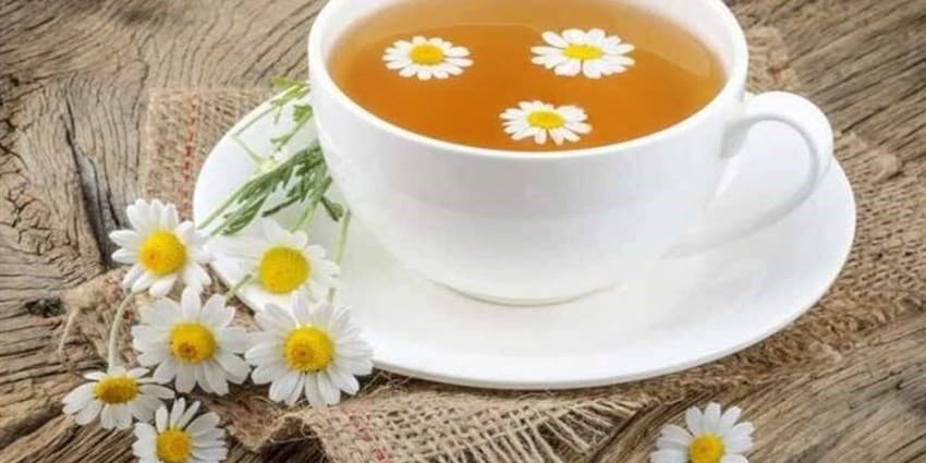 خواص بابونه برای پیشگیری از سرطان‌های زنانه + طرز تهیه