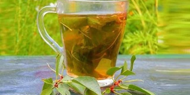 ۱۴ خواص برگ گیلاس و موارد استفاده آن که نمی‌دانید