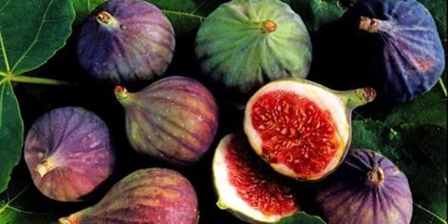 خواص درمانی انجیر سیاه که نمی‌دانید
