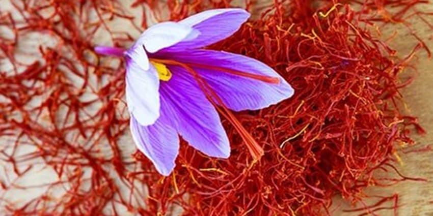 زعفران بر خلق و خو چه تاثیری دارد؟