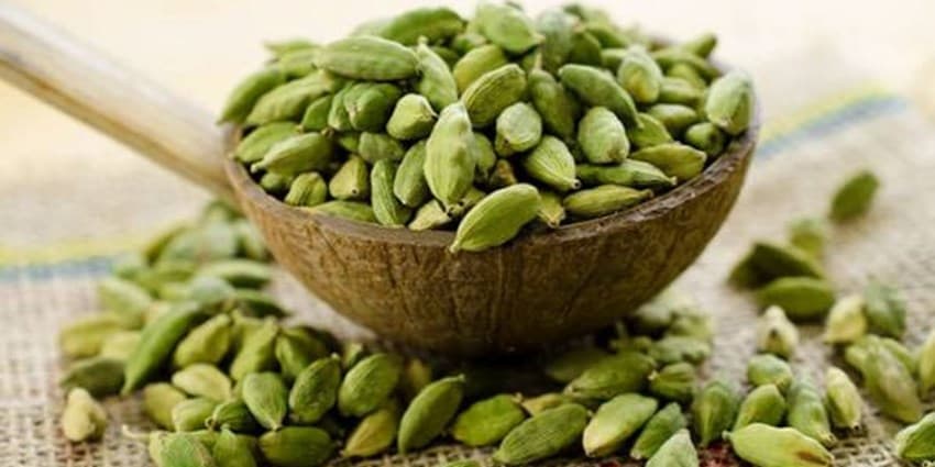 آشنایی با گیاه دارویی و معطر هل