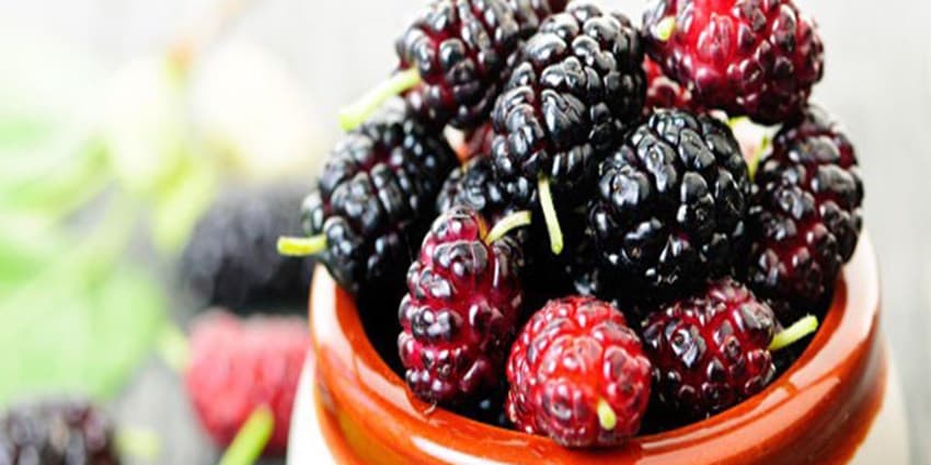ترکیبات میوه می‌تواند به مدیریت دیابت نوع دو کمک کند