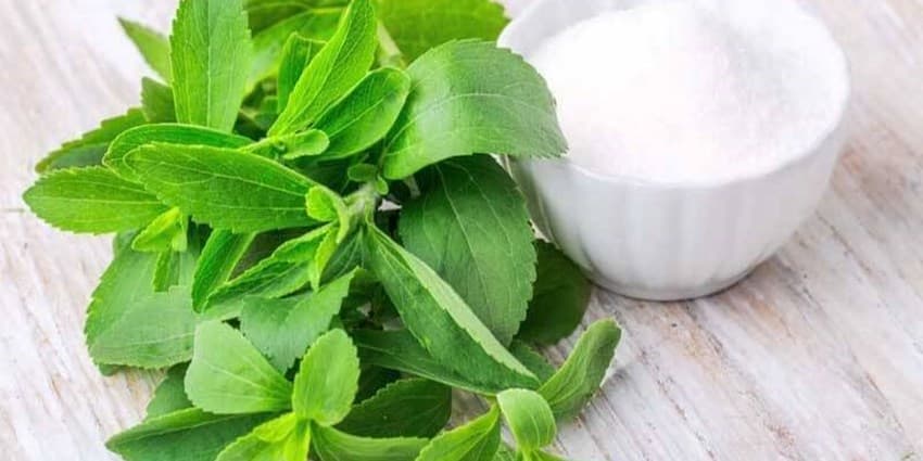 شکربرگ شیرین‌کننده رویایی دیابتی‌ها است؟