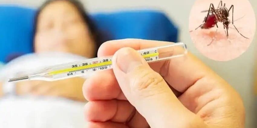 اگر به تب دنگي مبتلا شديم، چه كنيم؟