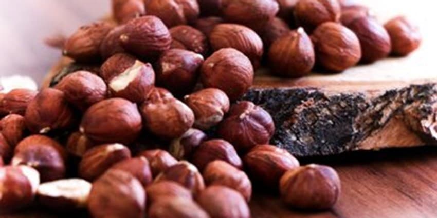 ۶ خاصیت فوق‌العاده فندق برای سلامتی و زیبایی