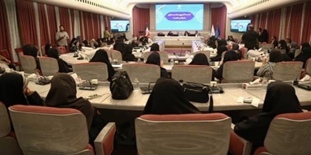 نشست کشوری سلامت مادران و جوانی جمعیت برگزار شد