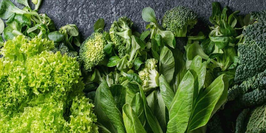 نقش سبزی های برگدار در کاهش خطر ابتلا به سرطان روده بزرگ