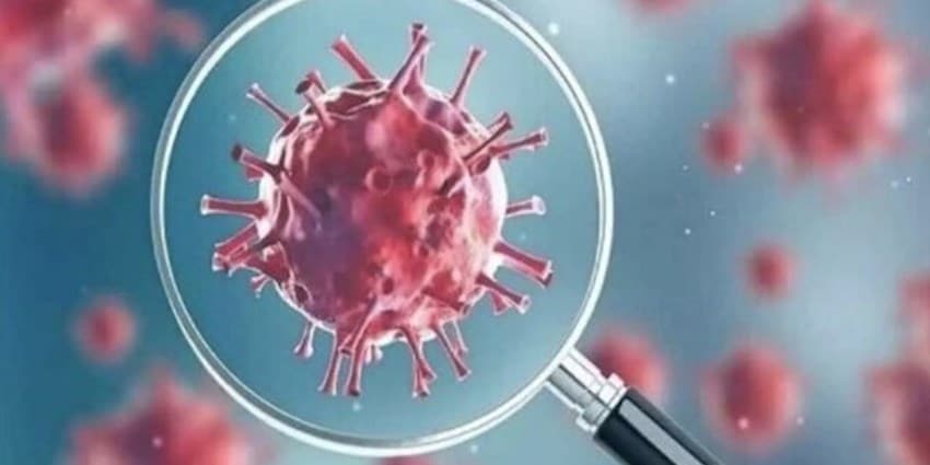 گردشگری رینوویروس‌ها برای مبتلا کردن مردم به بیماری‌های حاد تنفسی 
