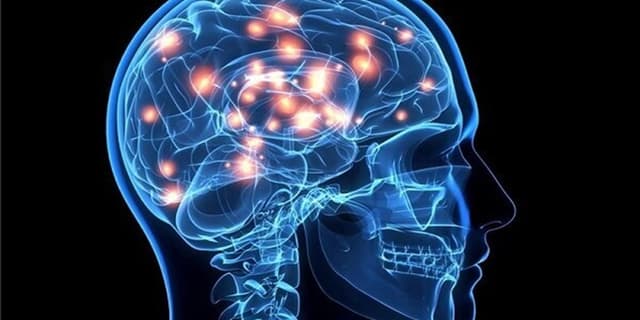 میوه‌ای که خستگی ذهنتان را برطرف کنید