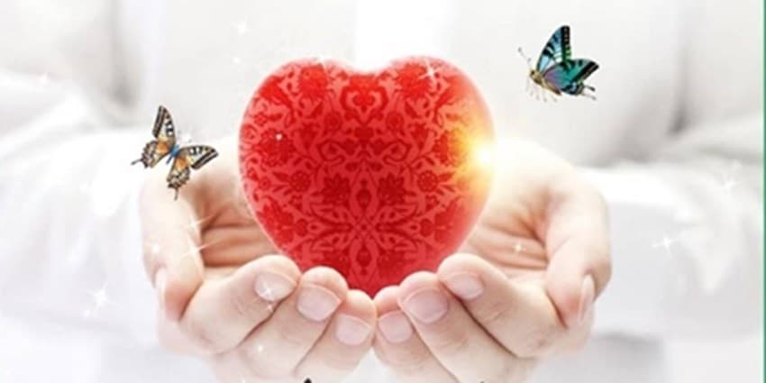 پرستارانی که زندگی دوباره بخشیدند