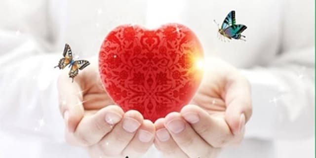 پرستارانی که زندگی دوباره بخشیدند