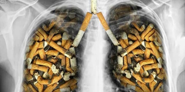 ریسک ابتلا به چند سرطان با استعمال دخانیات / تداخل سیگار با داروهای فشارخون