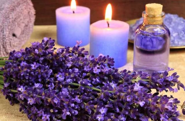 گیاهی دارویی که آرامش را به شما هدیه میکند/ با سمزدای طبیعی بدن آشنا شوید
