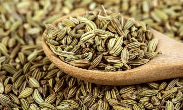 رازیانه؛ گیاه شیر افزا