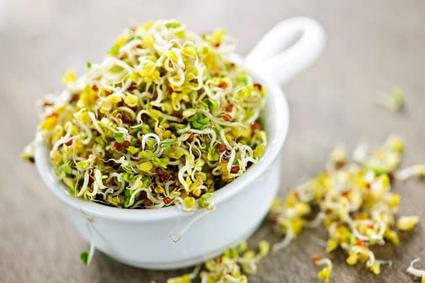 فکرش را هم نمی کنید این گیاه ضدکلسترول، ضد دیابت، ضدچاقی و پاک کننده کبد باشد