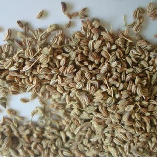 خواص زنیان (نانخواه) در طب سنتی
