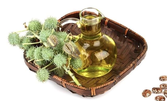 ۱۰ خاصیت روغن کرچک برای پوست صورت و بدن