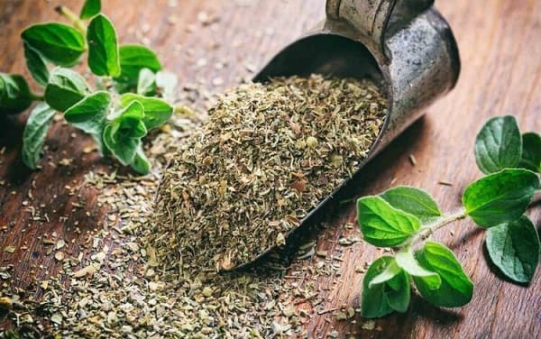 سرماخوردگی دارید؟ این گیاهان را مصرف کنید+ راهکار تداخل پیدا نکردن داروهای شیمیایی با این گیاهان