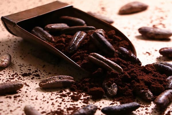 هسته خرما را اصلا دور نریزید