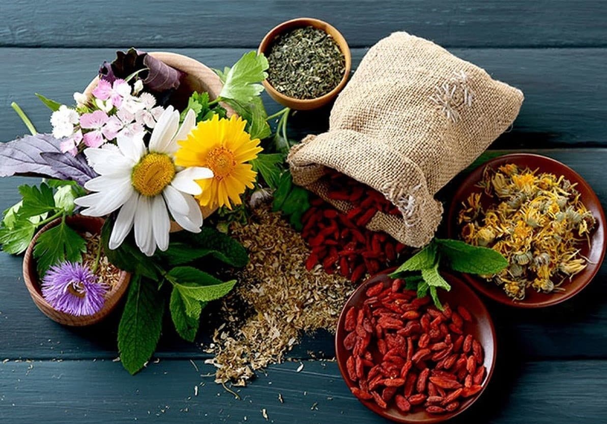 مصرف خودسرانه گیاهان دارویی؛ هشداری که نباید نادیده گرفته شود