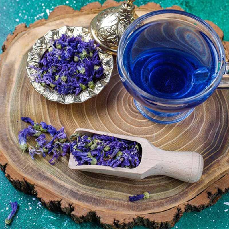 گلگاوزبان؛ گیاهی پرکاربرد که نیازمند بررسی علمی بیشتر است