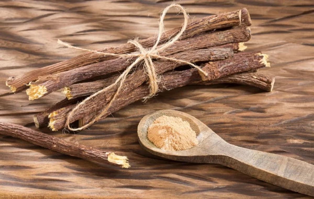 شیرینبیان؛ گیاهی دارویی با ترکیبات آنتیاکسیدانی مورد توجه پژوهشگران