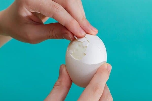 با رژیم تخممرغ واقعا لاغر میشویم؟