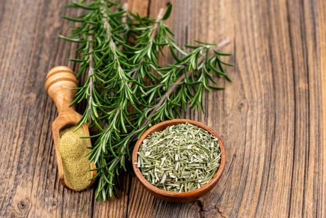 رزماری؛ گیاهی سنتی که ترکیبات آن در پژوهشهای جدید بررسی میشود