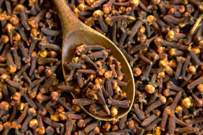 میخک؛ ادویهای سنتی که دوباره مورد توجه پژوهشگران قرار گرفته است