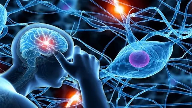 مغز افراد مبتلا به اضطراب و افسردگی الگوی مشترکی دارد