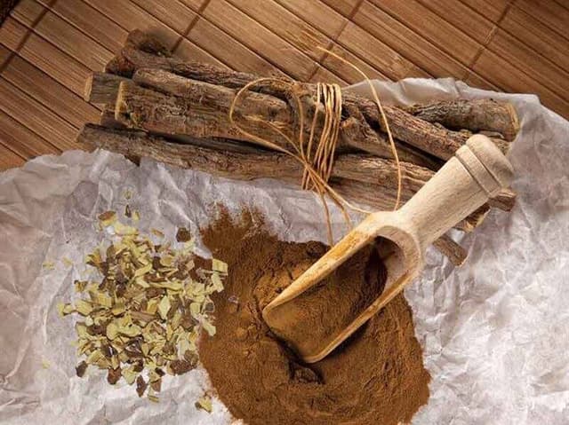 پژوهشگران به دنبال استخراج بهتر ترکیبات فعال شیرینبیان هستند