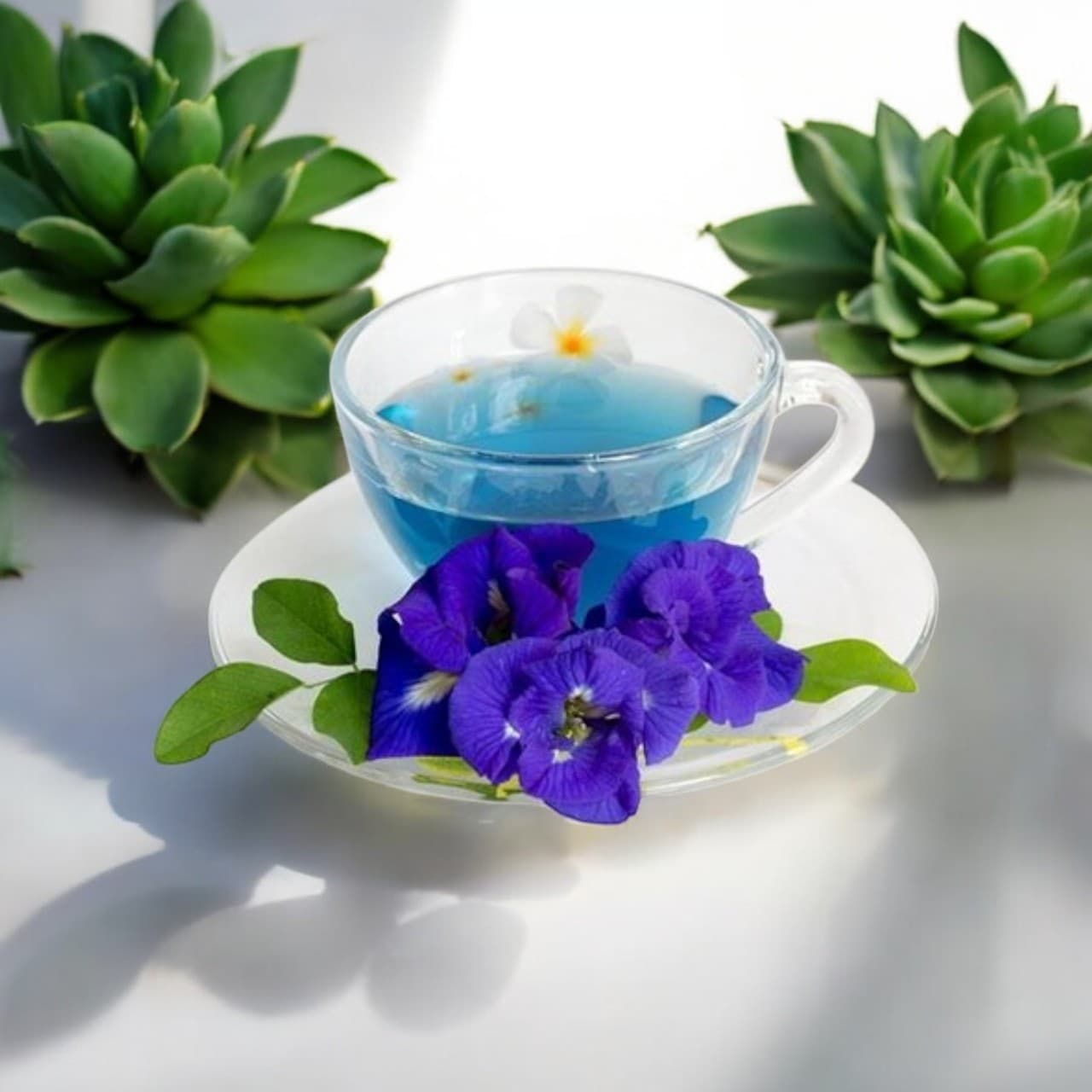 بنفشه؛ گیاهی قدیمی که دوباره مورد توجه پژوهشگران قرار گرفته است