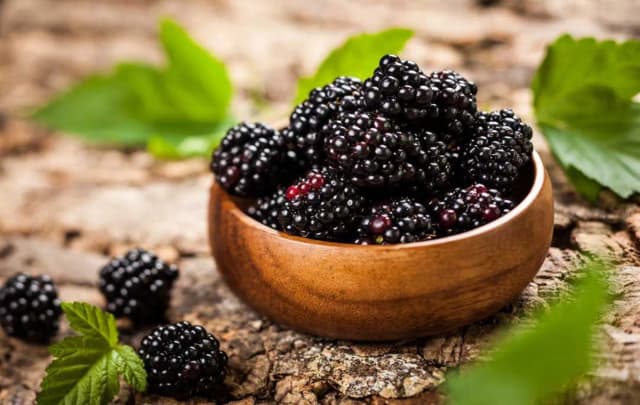 توتها؛ خوراکیهای سرشار از ترکیبات آنتیاکسیدانی