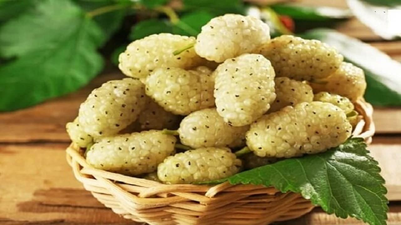 راز آرامش در یک میوه شیرین؛ خواص شگفتانگیز توت سفید