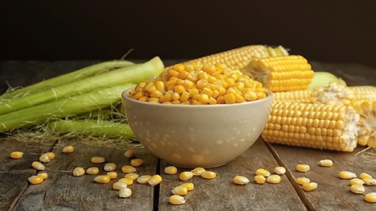 ذرت؛ خوراکی سادهای که گنجینهای از خاصیت است