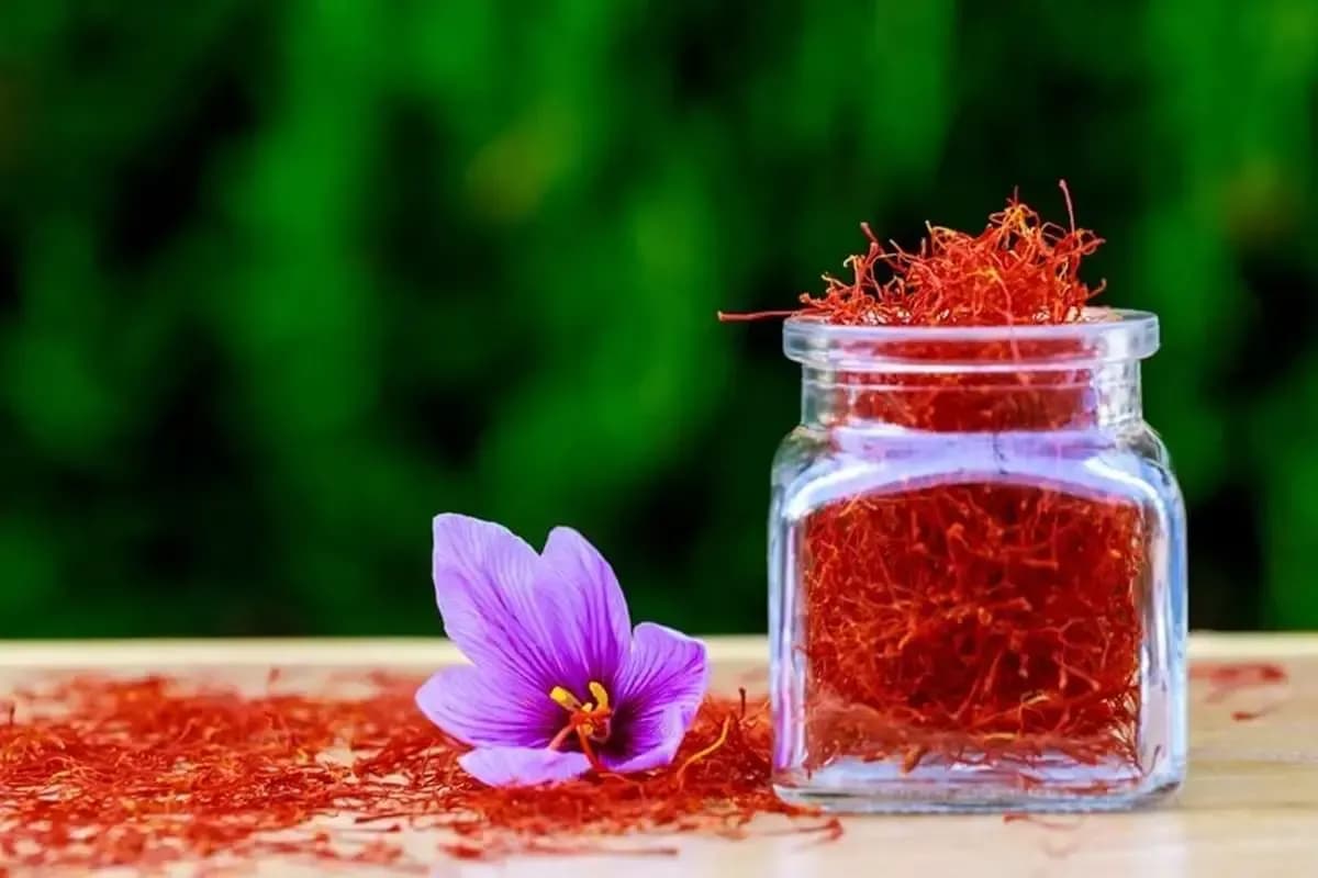 هشدار وزارت بهداشت درباره مصرف خودسرانه زعفران؛ از شادی تا خطر