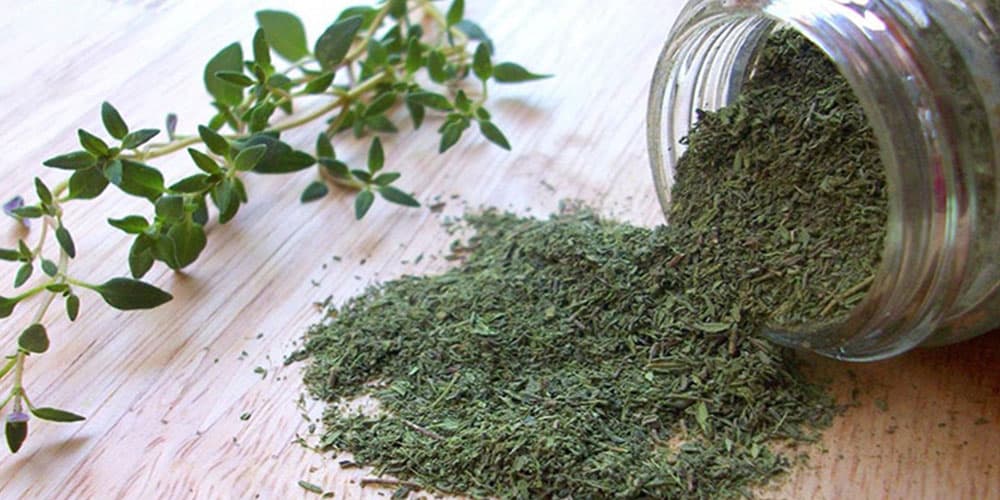 آویشن؛ گیاهی معطر با سابقه طولانی در طب سنتی