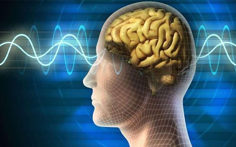 چرا مغز در زمان استرس نمیتواند بهدرستی تصمیم بگیرد؟