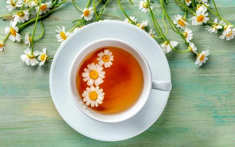 معجزه این گیاهان دارویی برای آرامش اعصاب!