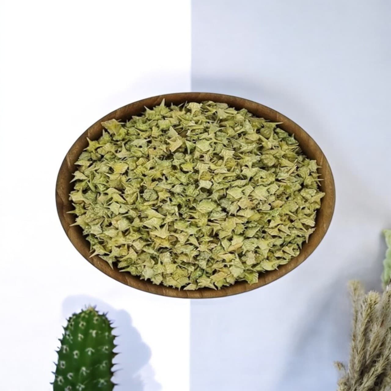 خارخاسک؛ گیاهی دارویی با سابقه طولانی در طب سنتی